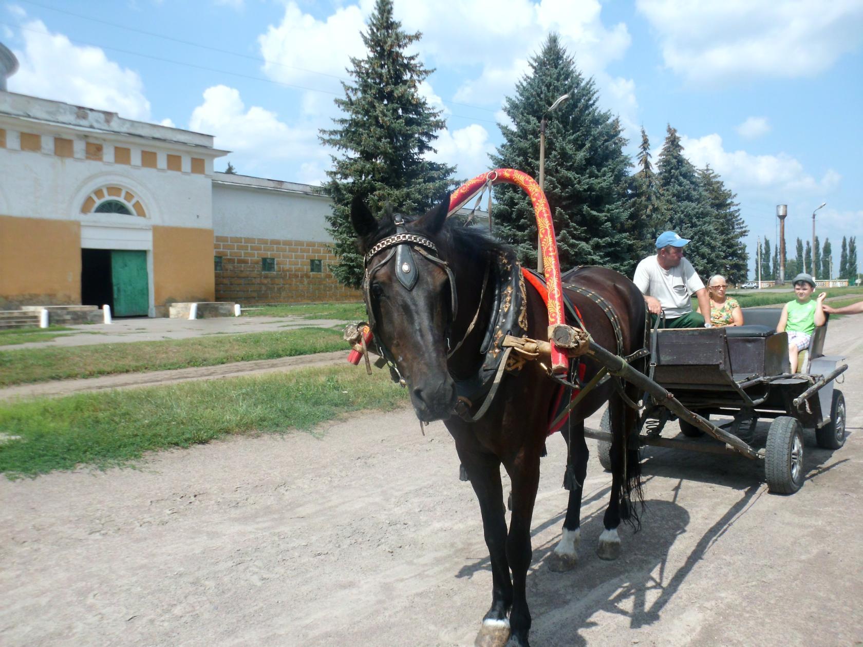 Хочу в Воронеж